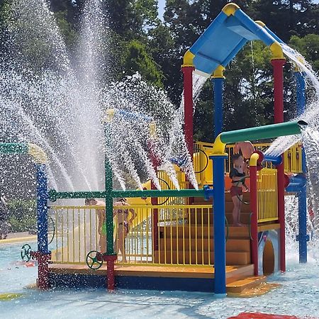 Chalet Alkenhaer Appelscha Dış mekan fotoğraf